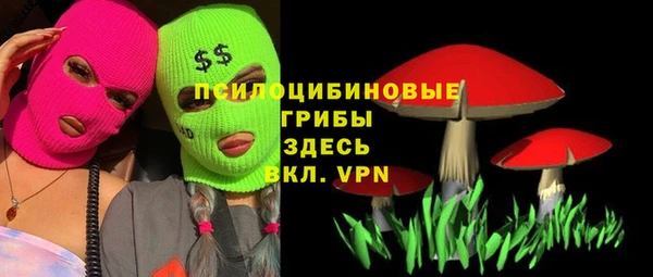 ГАЛЛЮЦИНОГЕННЫЕ ГРИБЫ Алексин