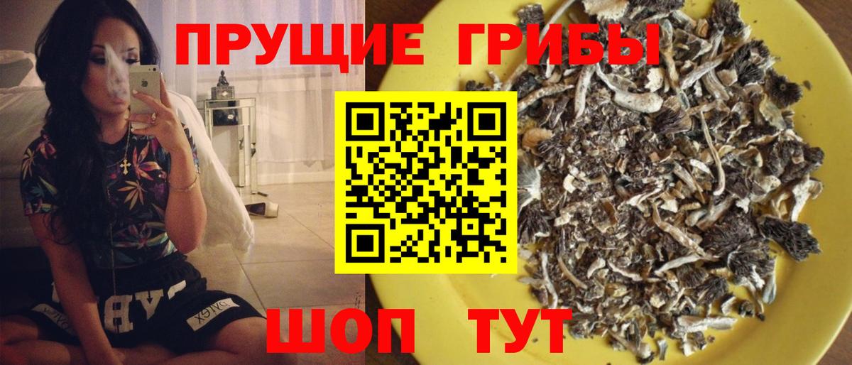 Тавда  где продают   Вход с VPN  Галлюциногенные грибы MAGIC MUSHROOMS 