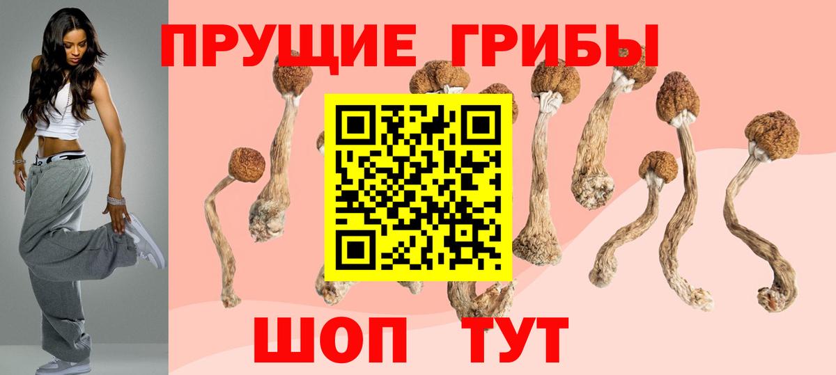 Псилоцибиновые грибы Psilocybine cubensis Тавда
